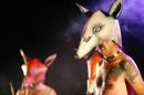 Retour du Grand Renard Blanc  18 * 4368 x 2912 * (5.1MB)